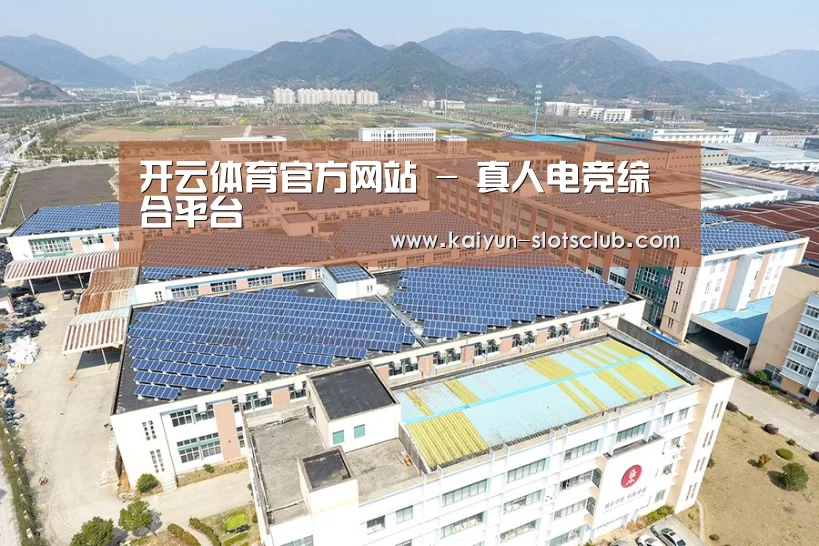 案例展示三